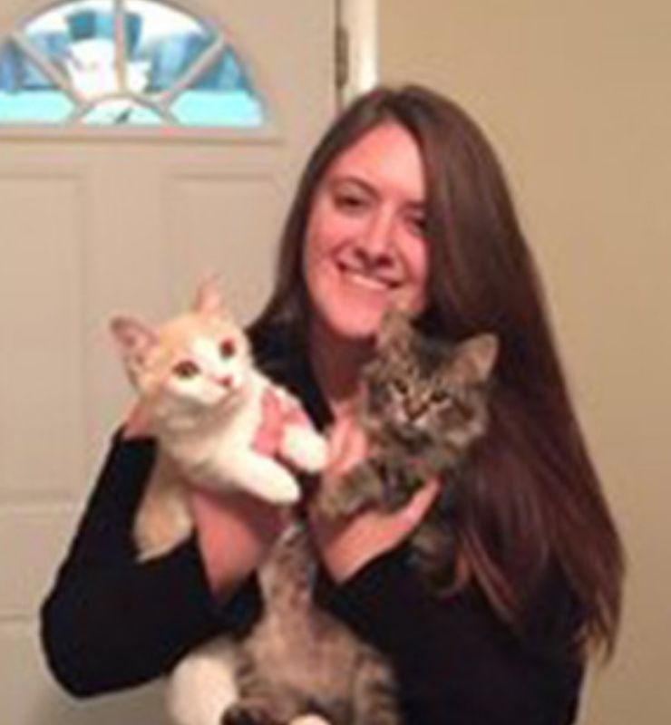 Happy Tales Veterinary Hospital Headers